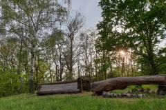 Abendsonne